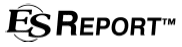 ES Report